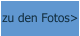 zu den Fotos>